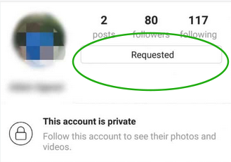 چگونه فالوورهای پیج خصوصی را ببینیم